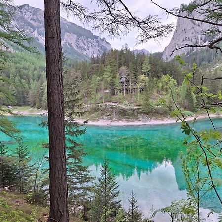 Haus Bergblick Fruehstueckspension Oberort 외부 사진