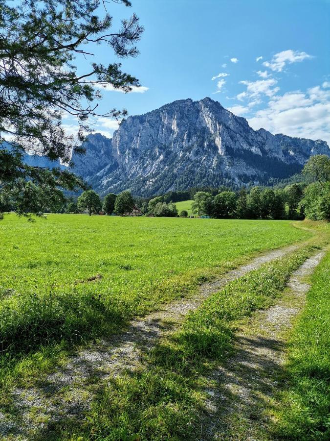 Haus Bergblick Fruehstueckspension Oberort 외부 사진