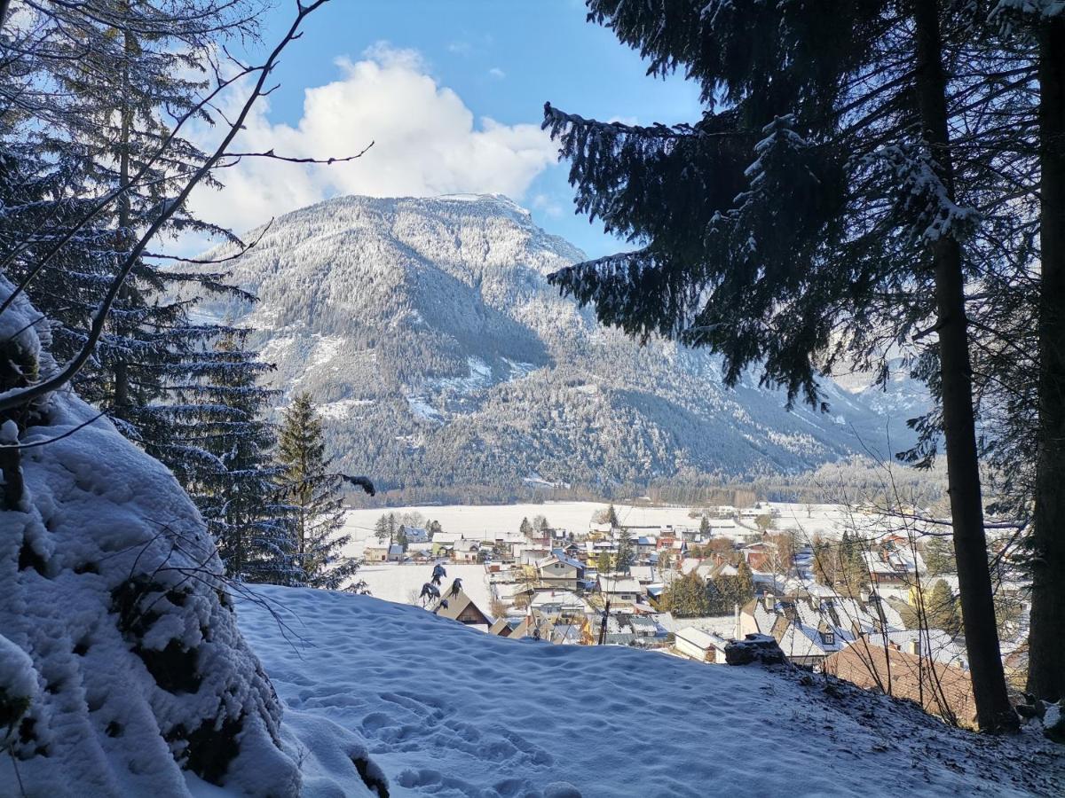 Haus Bergblick Fruehstueckspension Oberort 외부 사진
