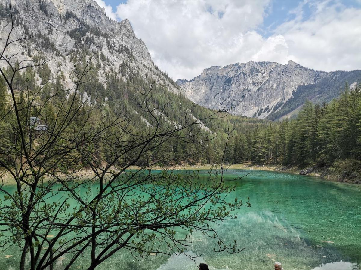 Haus Bergblick Fruehstueckspension Oberort 외부 사진