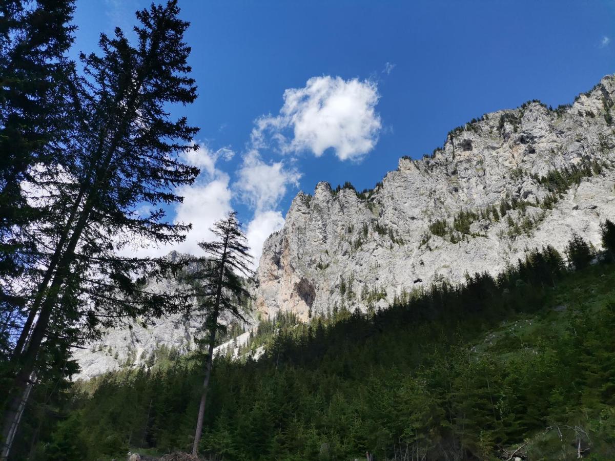Haus Bergblick Fruehstueckspension Oberort 외부 사진